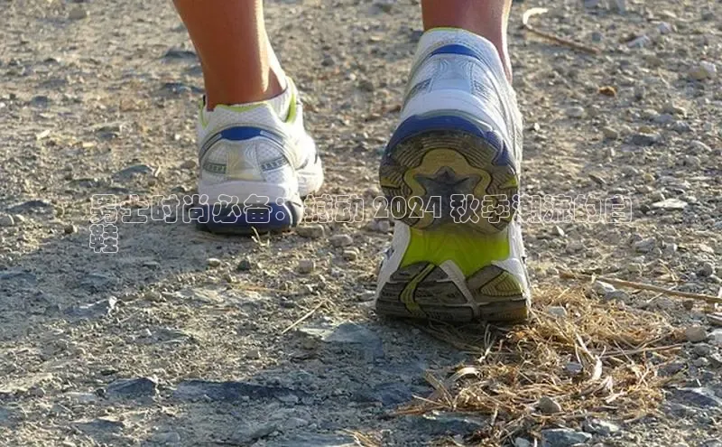 Bsport网页版百度数据开放平台男士时尚必备：撼动 2024 秋季潮流的白
鞋