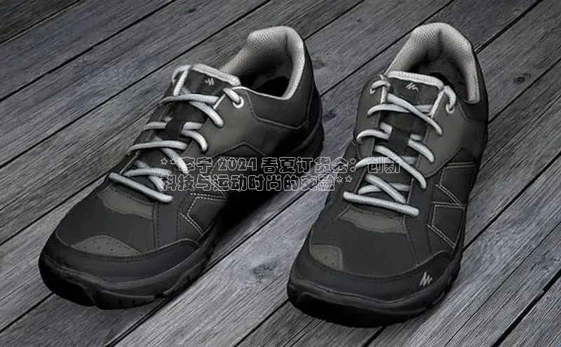 B—sports旧版下载百度识图**李宁 2024 春夏订货会：创新
科技与运动时尚的交融**