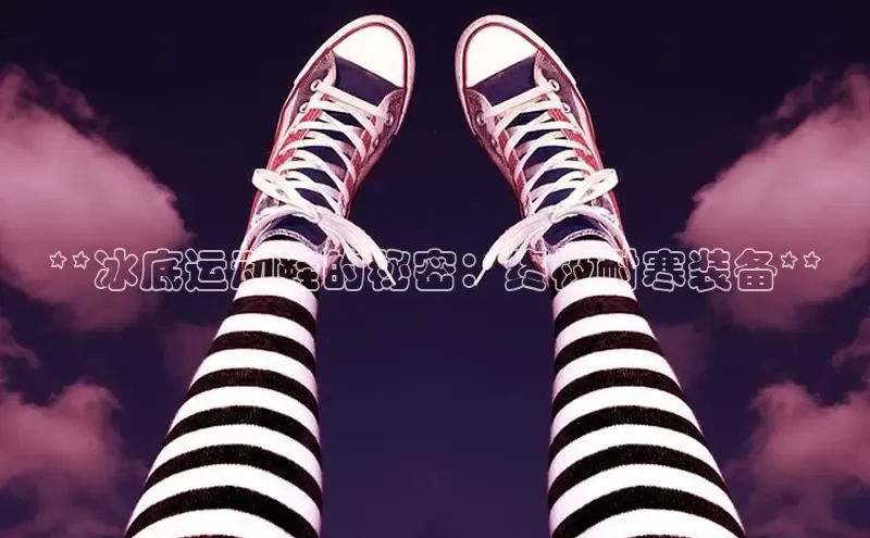 Bsport体育-官方网站阿里尔公司**冰底运动鞋的秘密：终极耐寒装备**