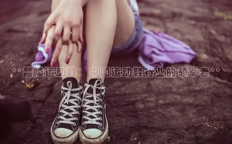 必一运动sport百度 H5**醴陵运动鞋：中国运动鞋行业的领军者**