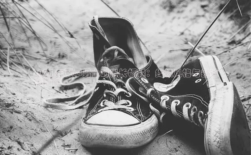 Bsports在线登录入口普信公司2024 年夏季男士时尚长板鞋：终极风格与舒适
度指南