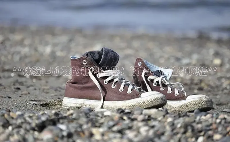 b体育官方下载入口最新版汉得信息**体验运动鞋的非凡世界：设计、性能和风格**