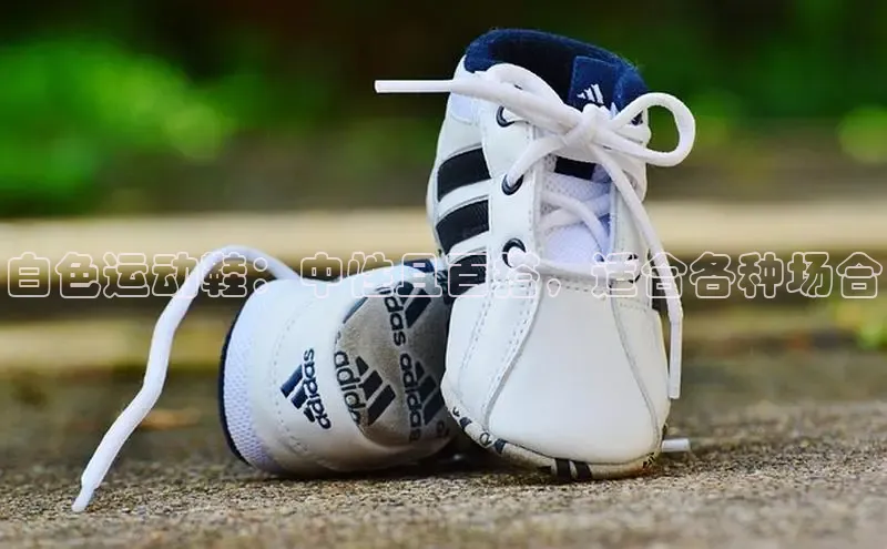 Bsports在线登录入口普信公司白色运动鞋：中性且百搭，适合各种场合