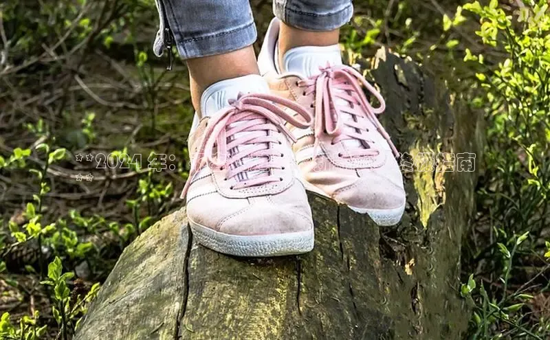 bsports网页版轻美电器**2024 年：不容错过的最新款女鞋终极指南
**