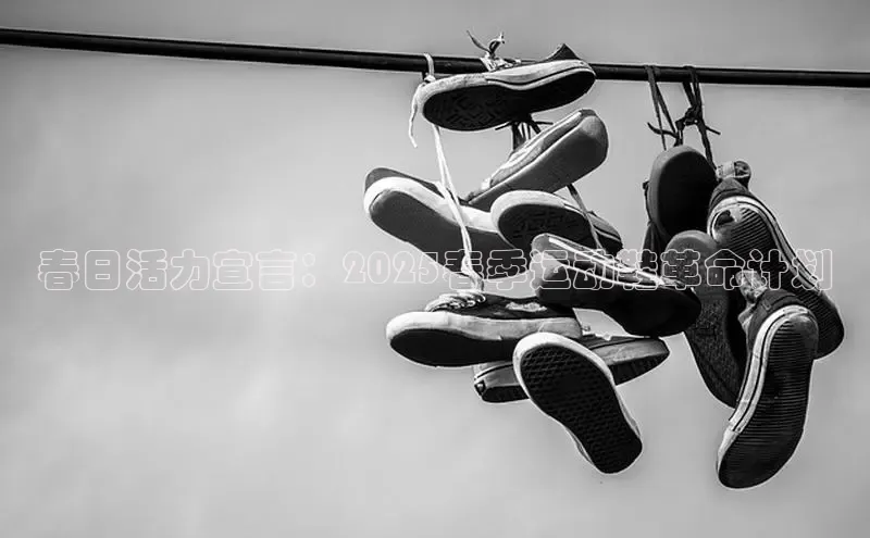 Bsports网页版登录入口百度智能门户春日活力宣言：2025春季运动鞋革命计划