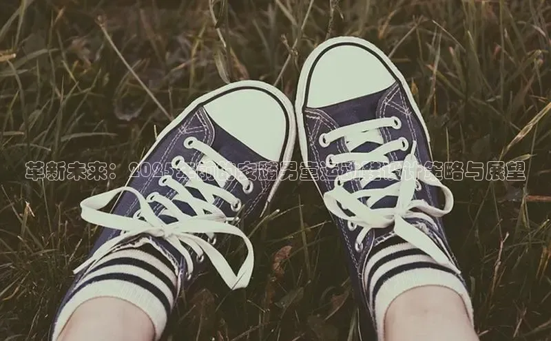 革新未来：2025年前的安踏男童运动鞋设计策略与展望