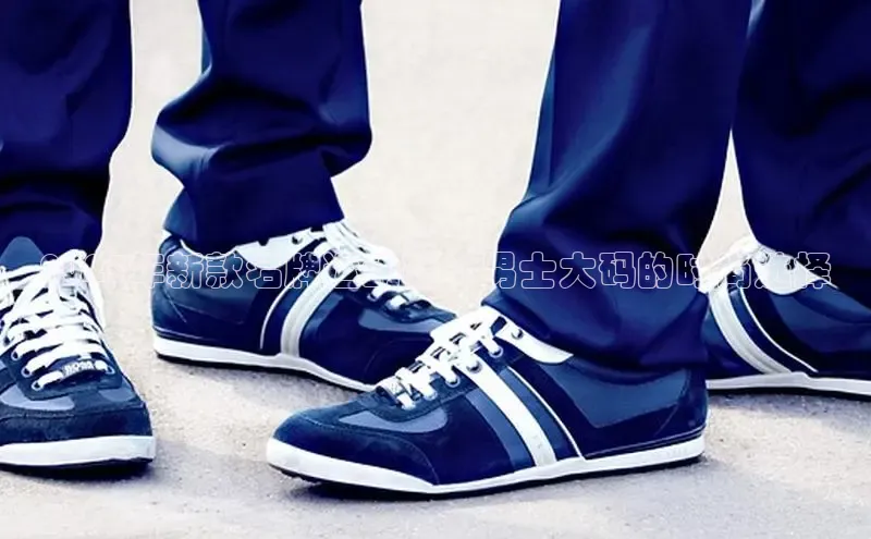 2025年新款名牌运动鞋：男士大码的时尚选择