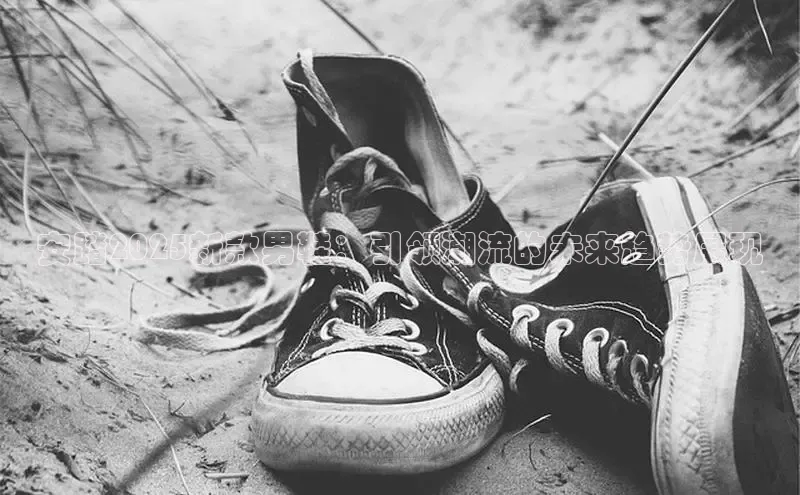 安踏2025新款男鞋：引领潮流的未来趋势展现