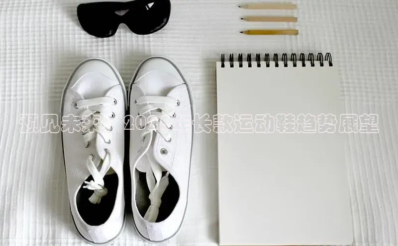 B体育官方入口APP