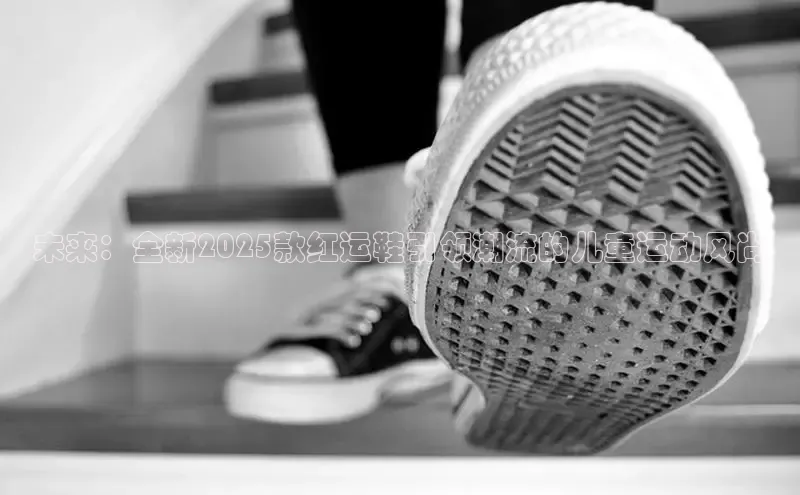 B体育手机网页版登录