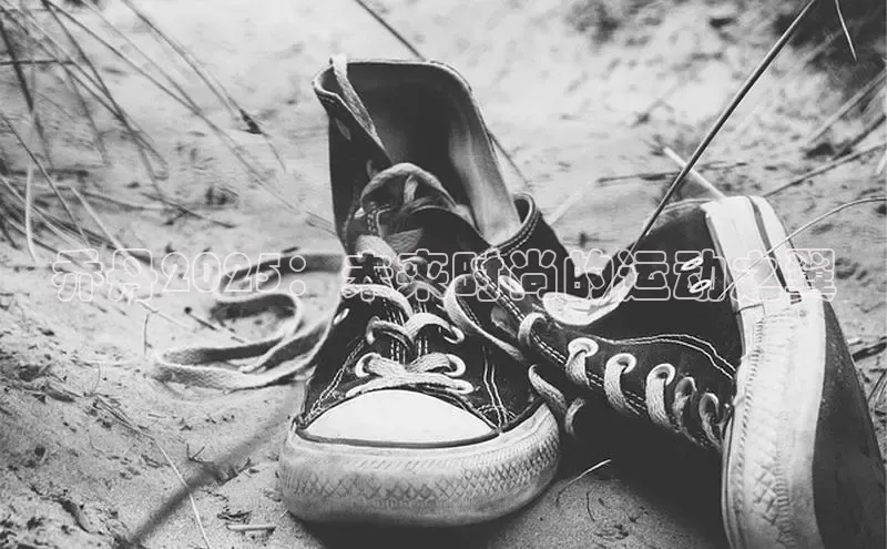 乔丹2025：未来时尚的运动之翼