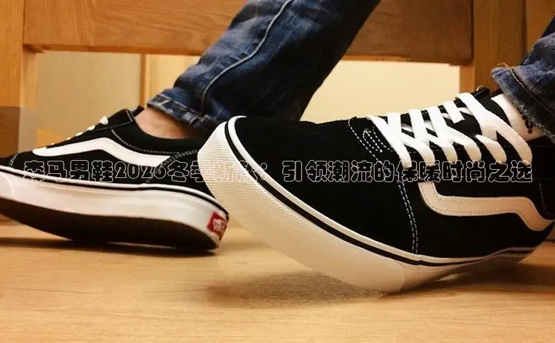 bsports登录入口